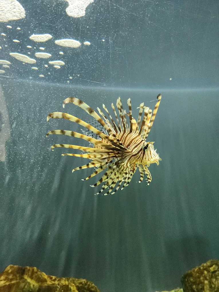 Aquário Marinho de Paranaguá